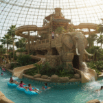 An indoor waterpark at Kalahari Resorts under a clear dome roof, featuring a large, African-themed play structure with an elephant statue, multiple water slides, palm trees, and people enjoying the swimming pool on inner tubes.